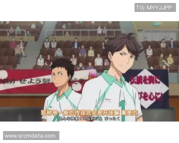 从零基础到排球高手的全面提升指南与实战技巧分享