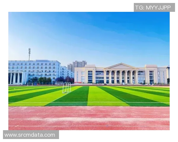 杭州排球队在联合会杯中的辉煌征程与突破成就全景回顾