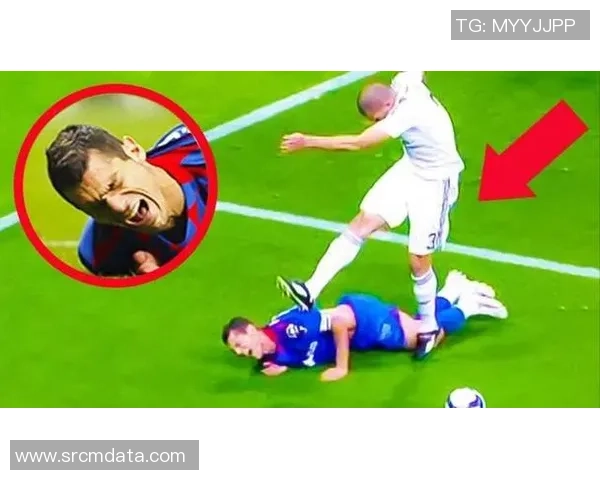 汪星人足球明星的精彩瞬间与背后的感人故事