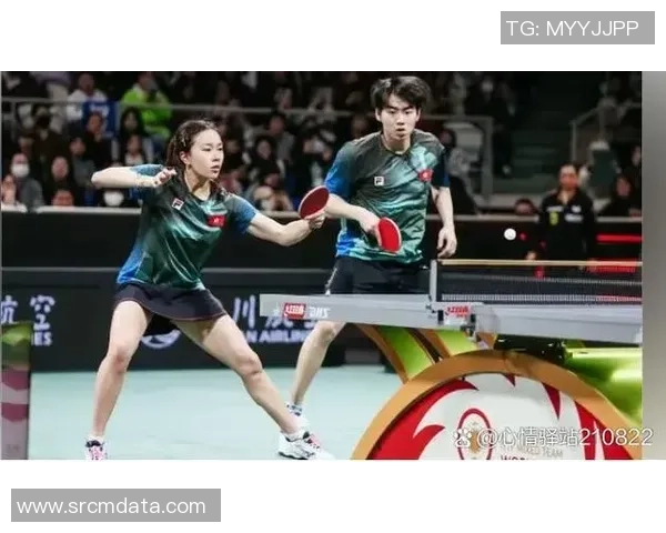 聚焦乒乓球：探讨北京乒乓球队的训练节奏与发展策略